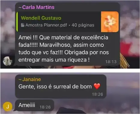 img-planner-das-fadas (12)